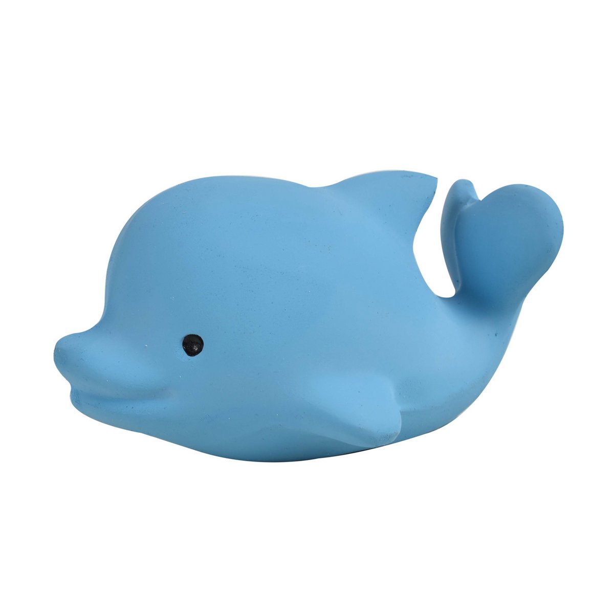 Mój pierwszy delfin oceaniczny