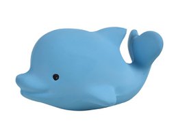Mój pierwszy delfin oceaniczny