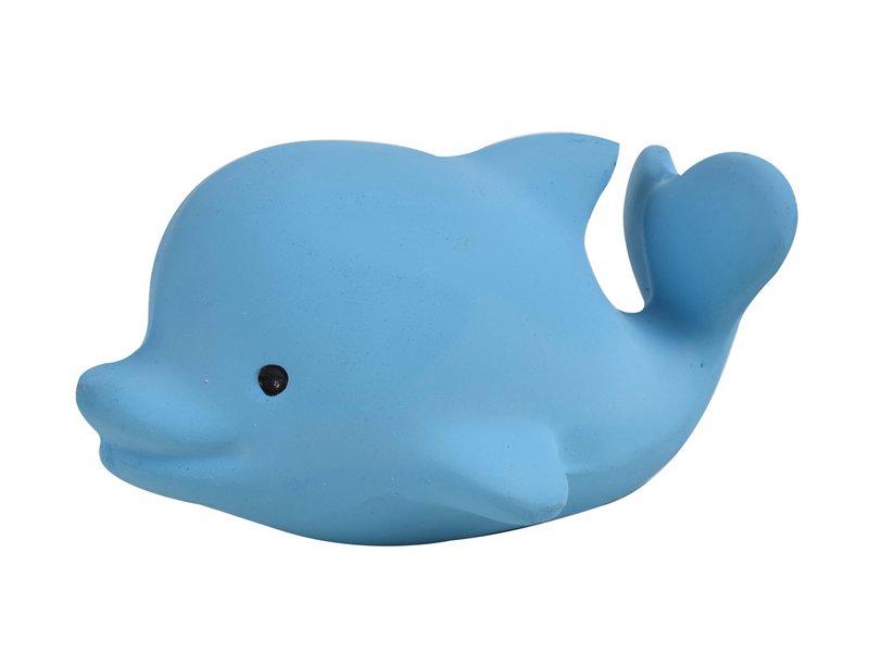 Mój pierwszy delfin oceaniczny