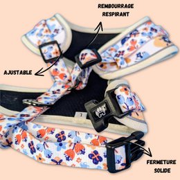 Spring Classic Harness