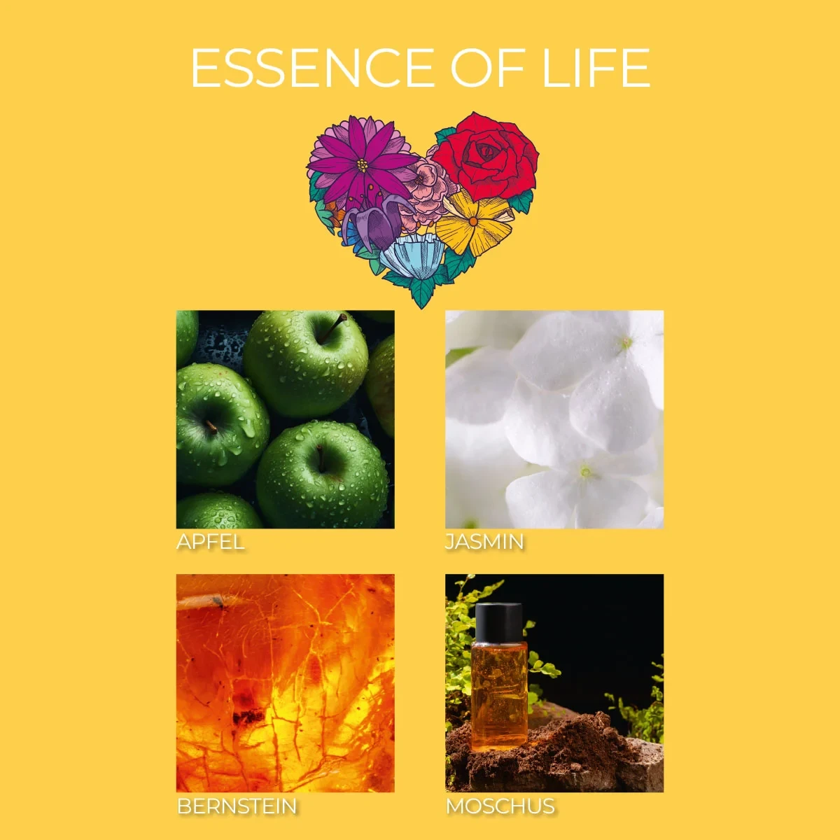 3er Set Duftkerze Frida Kahlo - La Belle vie, Exotic Jasmine, Essence of Life - 3 x 70g
