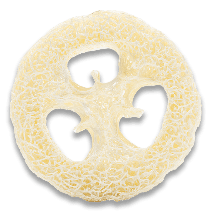 Loofah Body Scrub