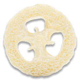 Loofah Body Scrub
