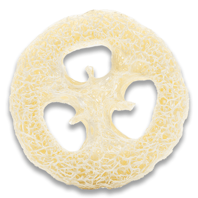 Loofah Body Scrub