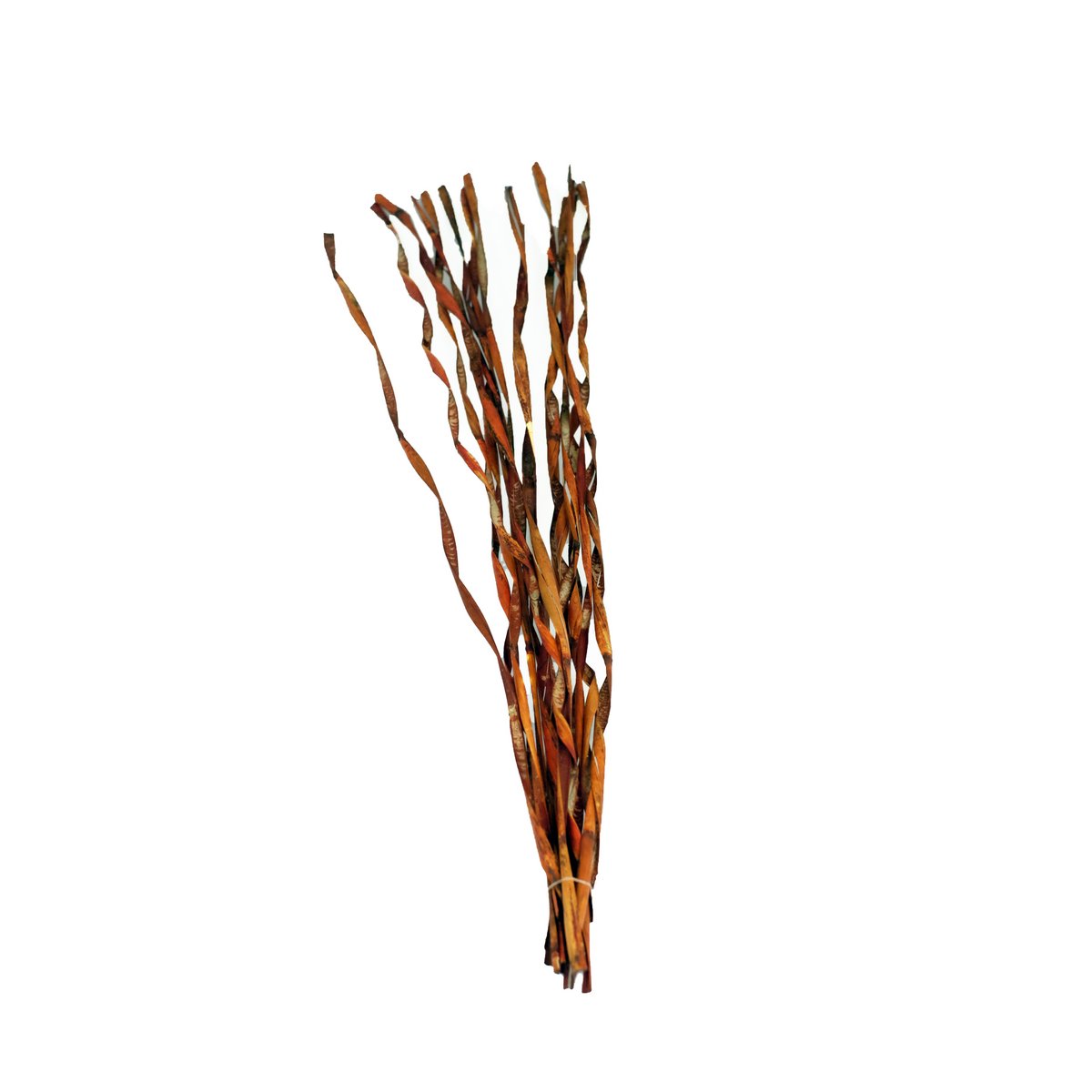 Curly Bamboo, 100 cm, 15 Stk./Tüte