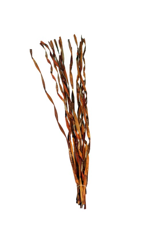 Lockiger Bambus, 100 cm, 15 Stk./Tüte