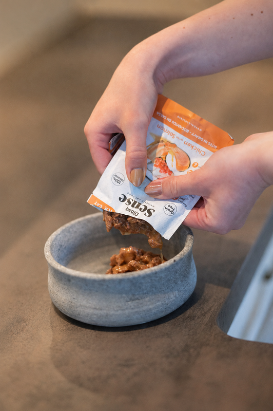 DIBAQ SENSE Cat Bites in Sauce Chicken with Salmon 100g