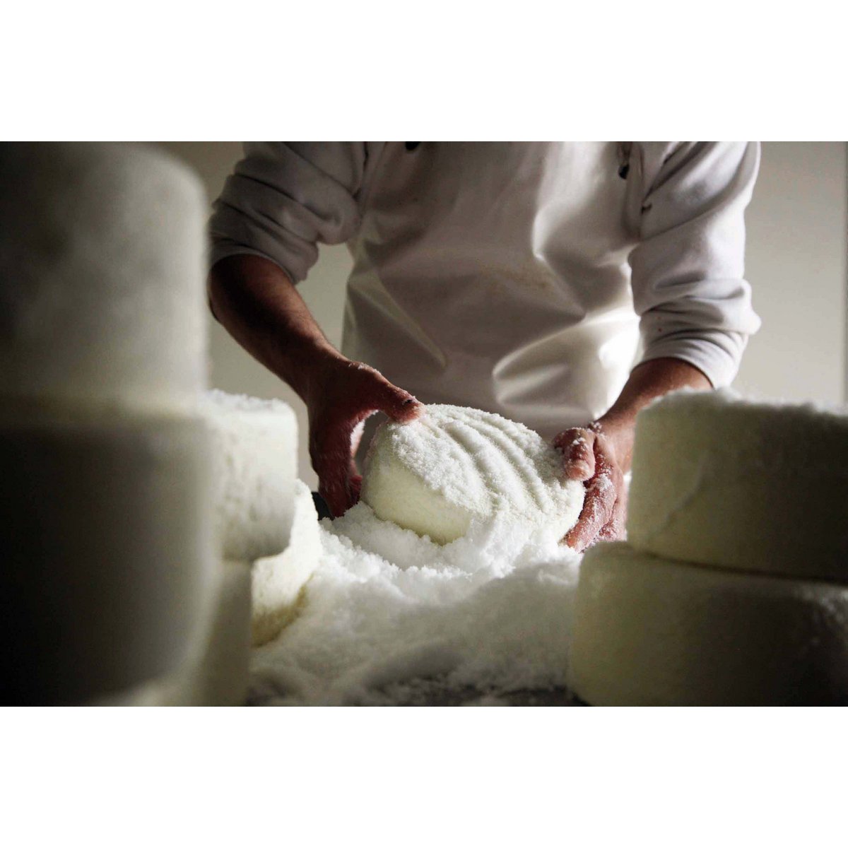 🇬🇧 Pecorino met olijfbladeren – ambachtelijke kaas verfijnd met olijfbladeren