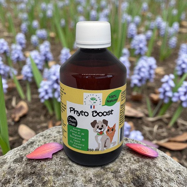 Phyto Boost für Hunde und Katzen
