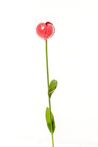 ZIMBA-ARTS METALEN ROZE TULP