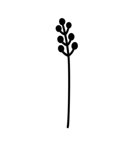Blume 3