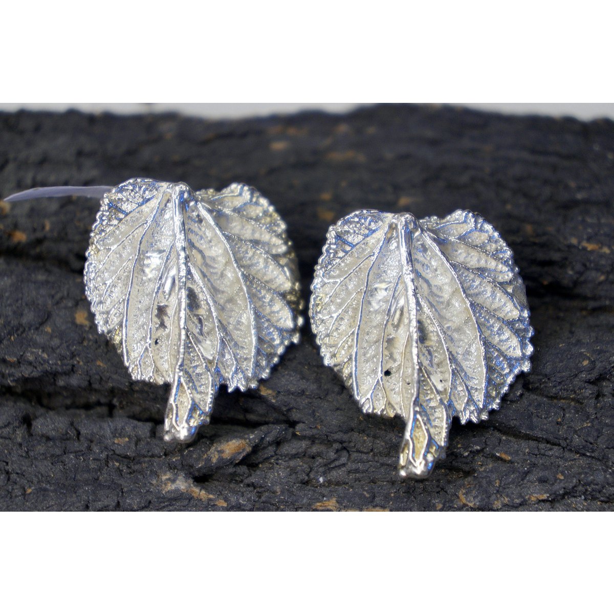 Mulberry Leaf Earrings - Real Leaves Coated in Gold and Silver
