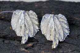 Mulberry Leaf Earrings - Real Leaves Coated in Gold and Silver