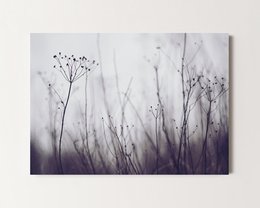 Postcard featuring a minimalist nature scene with delicate grasses and plants against a soft, blurred background.