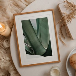 Poster: Agave