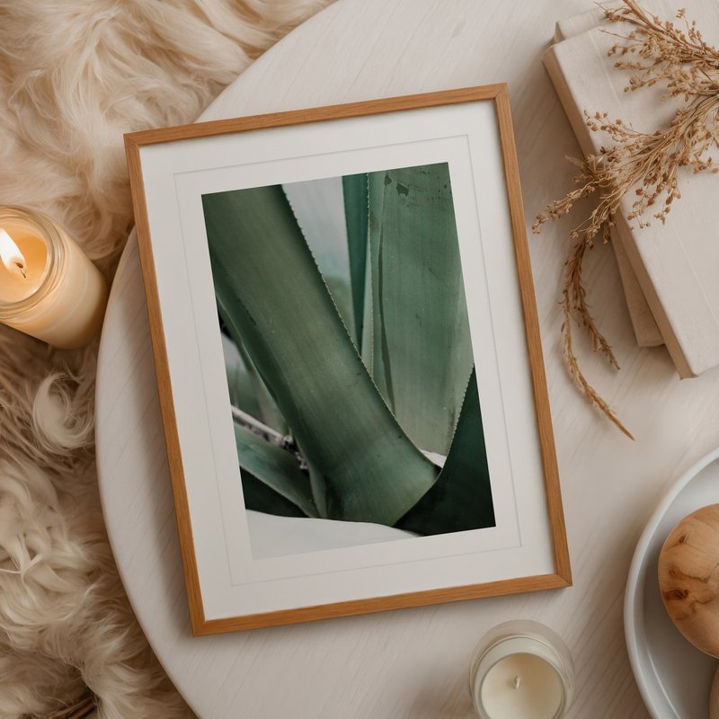 Poster: Agave