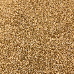 Semi biologici di senape gialla sfusi