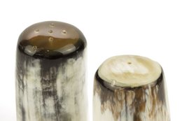Salière et poivrière en corne blonde