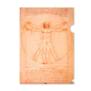 Archiefvel A4, Da Vinci, Man van Vitruvius