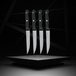 Lot de 4 Couteaux à steak Nirosta Mega 21 cm