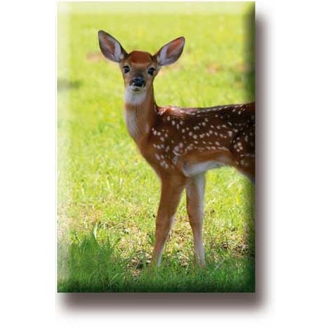 Aimant de réfrigérateur, cerf, veau