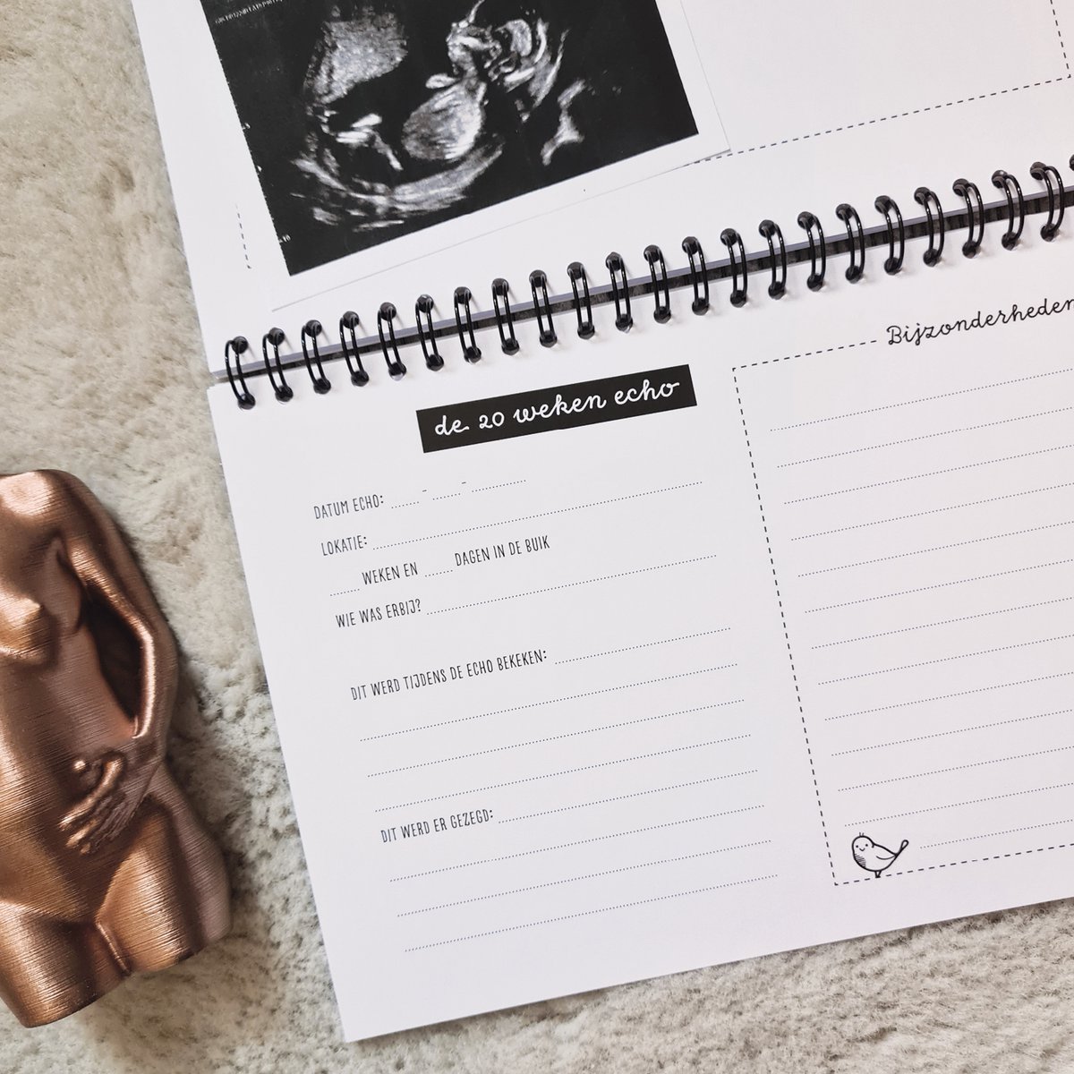 My ultrasound report book | ultrasound booklet A5