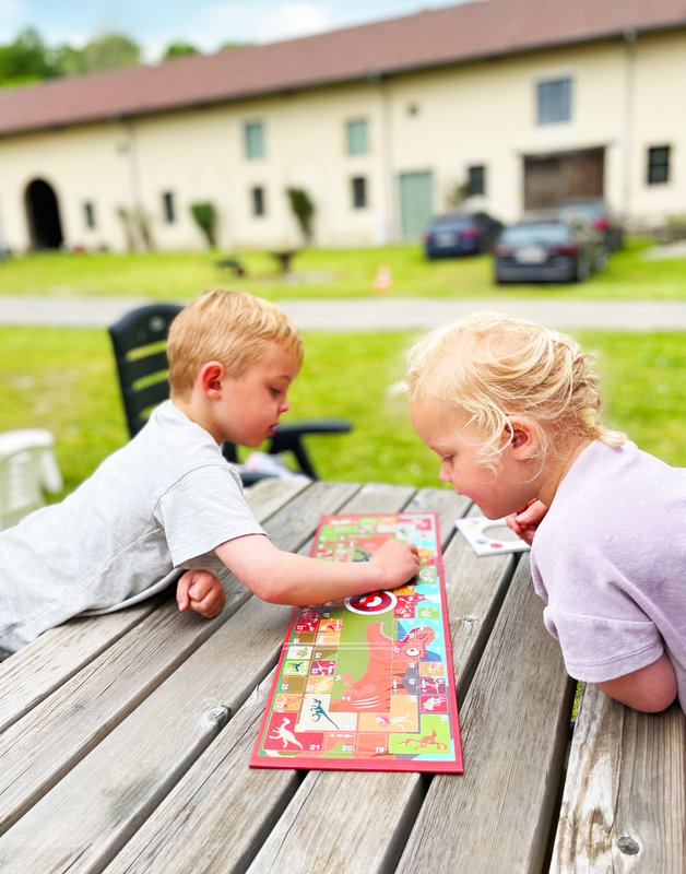 Magnetisch Bordspel To Go - Ganzenbord - Dino