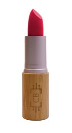 Rouge à Lèvres Mat