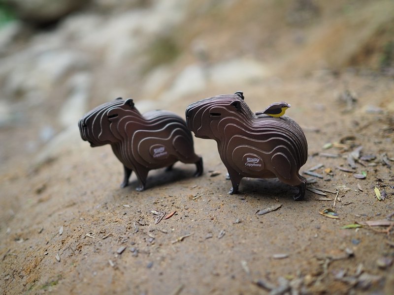 EUGY 3D-puslespil - Capibara