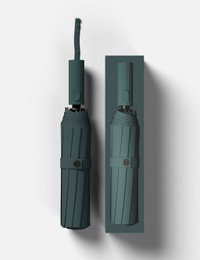 Opvouwbare paraplu Iconisch - Groen