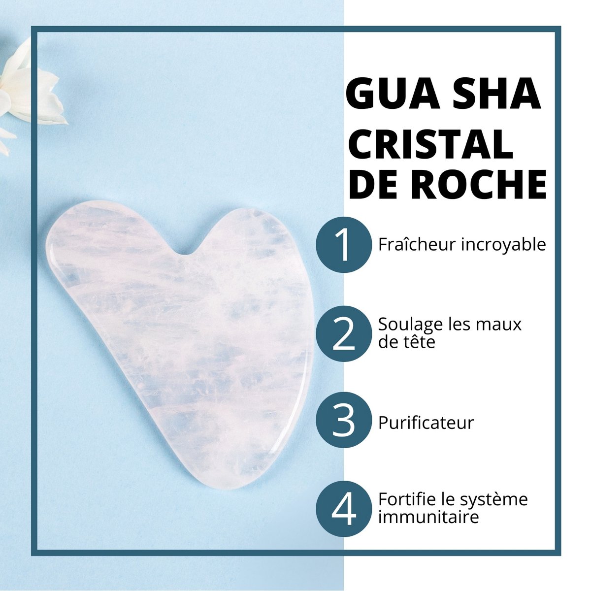 Gua Sha y Hongo en Piedra Natural | 6 modelos para elegir