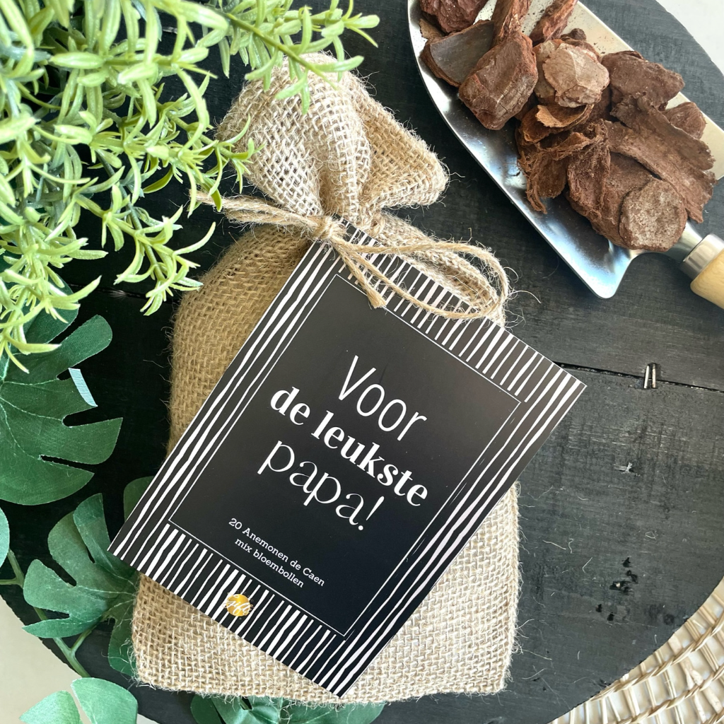 Flower bulbs – Dad