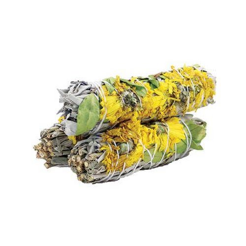 Sfumino Girasole Salvia Joy 10 cm
