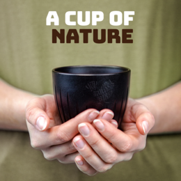 The Lucky Cup + To Go