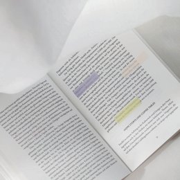 Lilac | Ordinate Haftnotizen | Klebezettel | Haftstreifen | Haftmarker | schule zubehör | Lesezeichen | aesthetic Schreibwaren | klein index tabs | sticky notes