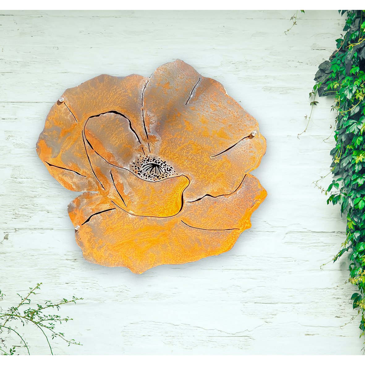 Wall Flower M