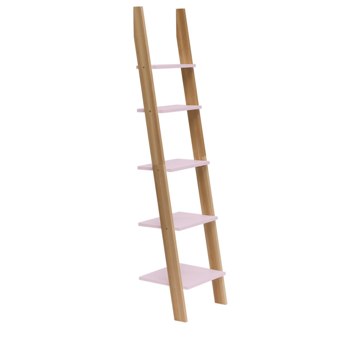 ASHME Laddershelf