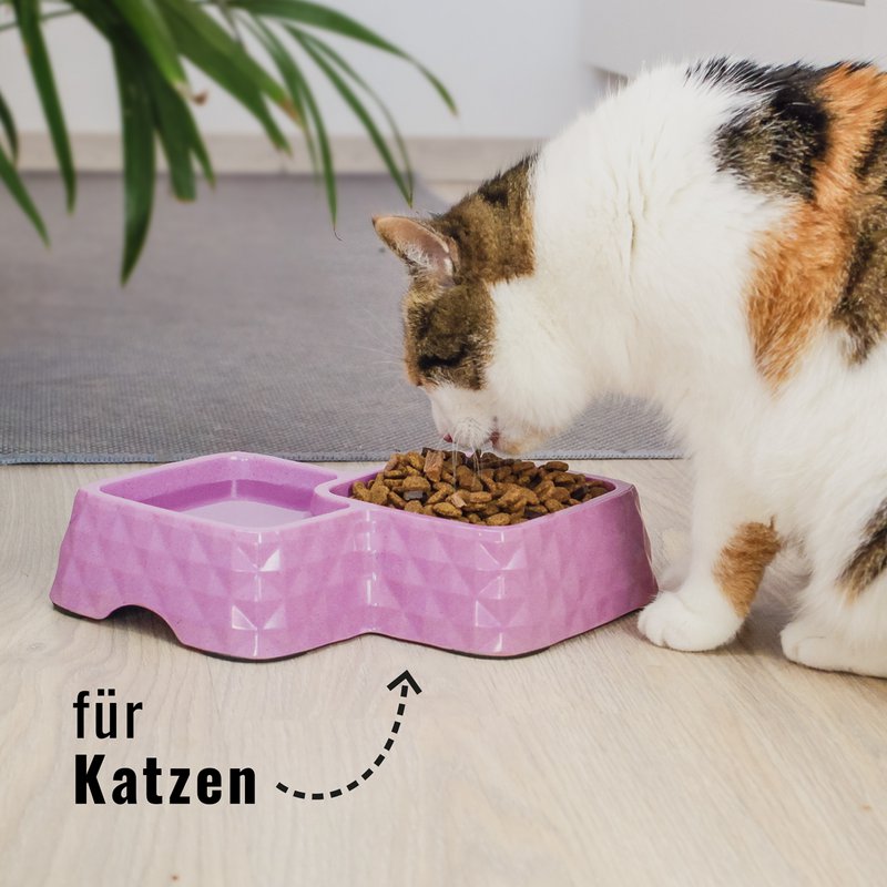 Ne & No® Bamboo Double Bowl para gatos y perros