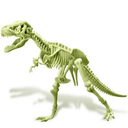 Lo scheletro di T-Rex si illumina al buio