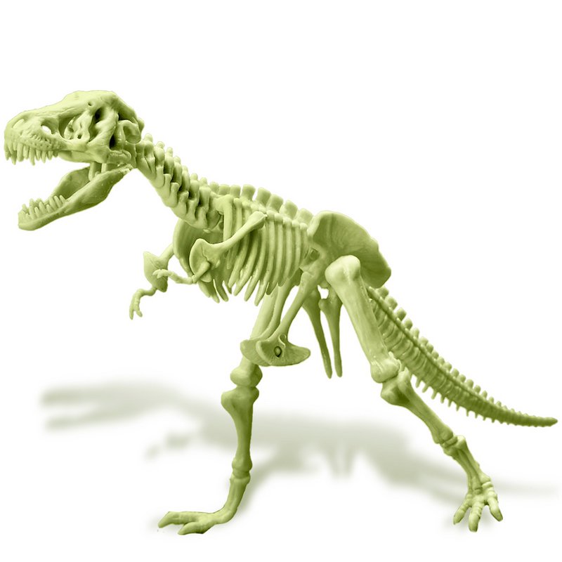 Lo scheletro di T-Rex si illumina al buio