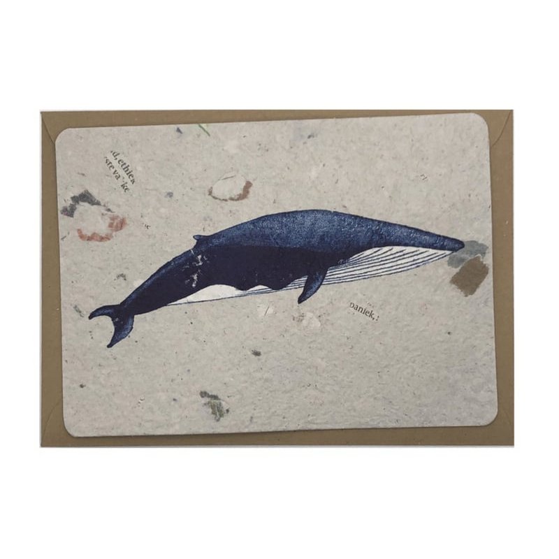 balena Blu