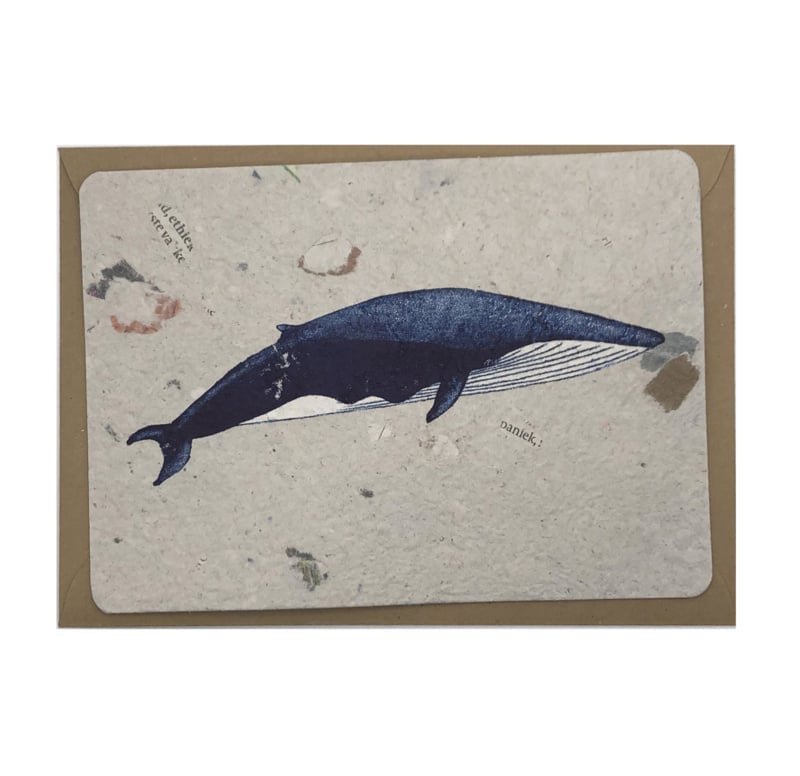 balena Blu