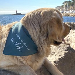 Omkeerbare bandana "born to be wild" imp. palmbomen