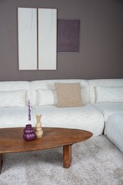 Coffee table Rudo 135 x 75 cm - Mango wood