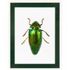 Lijst foto met acryl passe-partout - Kevergroen