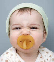 Natursutten pacifier Butterfly - anatomical L