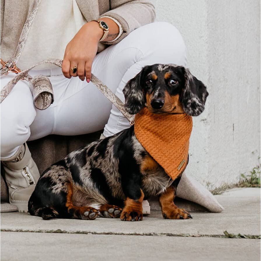 Honden bandana Cably Cognac