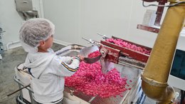 Bonbons "Carrés" de Coquelicot - Bocal 160g