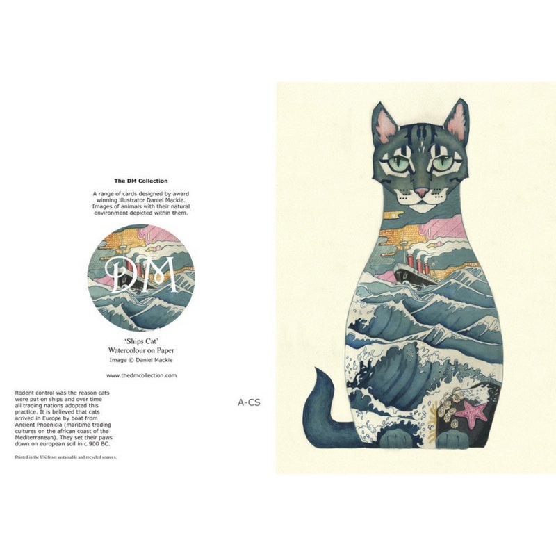 E018 - skib kat