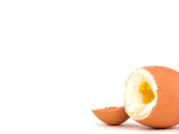 Cregg / Limette / Eierköpfer